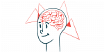 Potential brain interactions are suggested in this close-up view of the human brain inside a person's head.