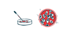 A dropper is seen poised above a petri dish alongside an aerial image of cells in another lab dish.