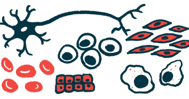 Illustration of many stem cells.