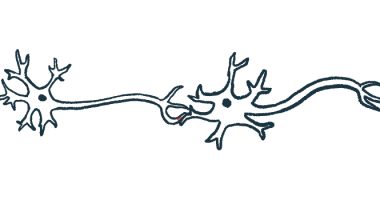 A close-up view of nerve cells show the axons connecting them.