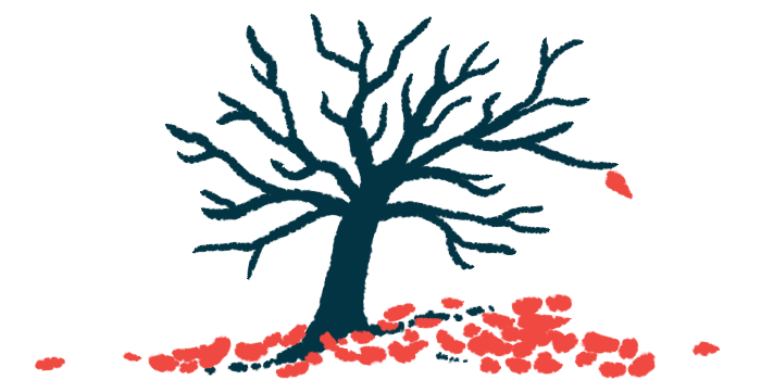 A single leaf clings to a tree as other leaves lie around its trunk in this illustration of disease mortality.